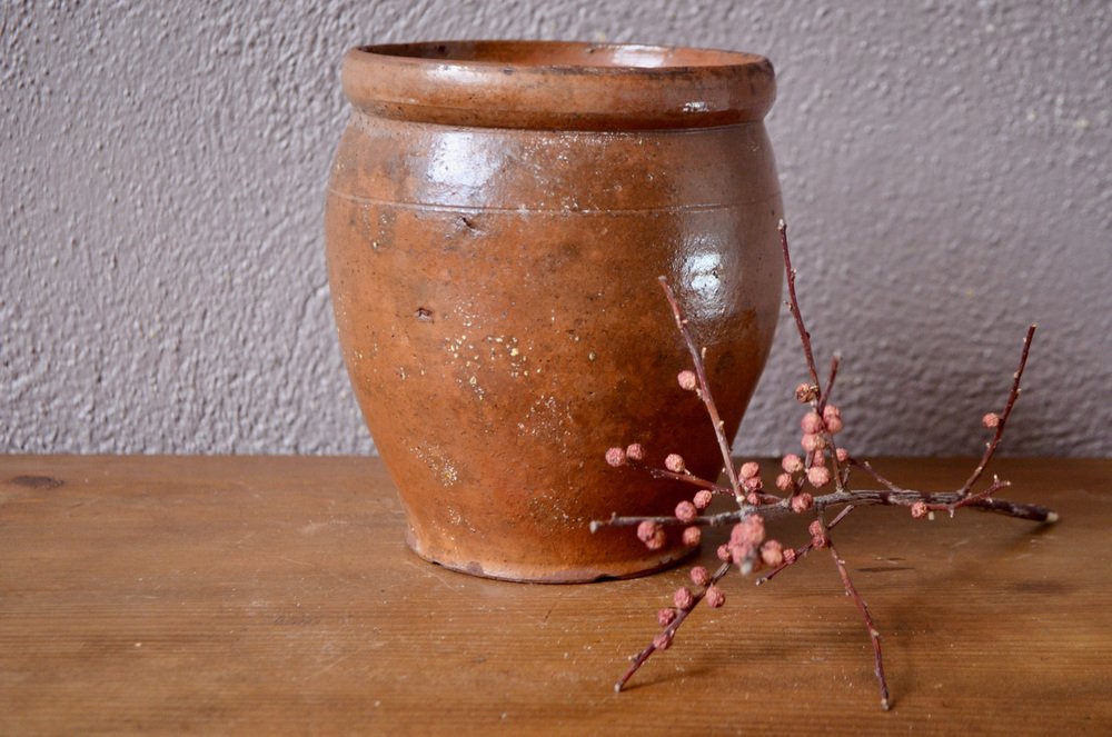 Graze Jar in Varnished Earth