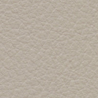 Great Gray Owl (FE4079)