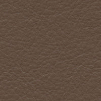 Great Horned Owl (FE4050)