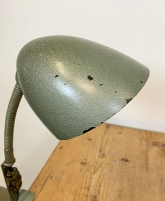 Green Industrial Bakelite Gooseneck Table Lamp, 1960s-CGF-1179133