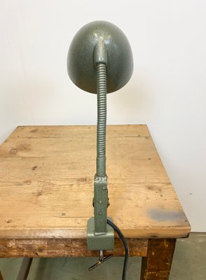 Green Industrial Bakelite Gooseneck Table Lamp, 1960s-CGF-1179133