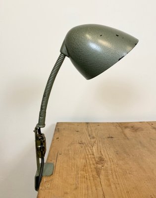 Green Industrial Bakelite Gooseneck Table Lamp, 1960s-CGF-1179133