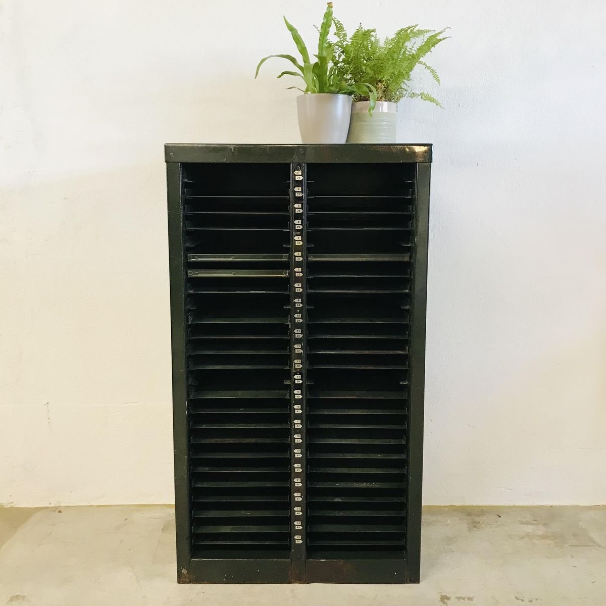 Green Printing Steel Cabinet with Shelves