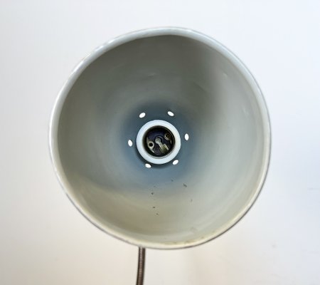 Grey Industrial Gooseneck Table Lamp from Philips, 1960s-CGF-1792233