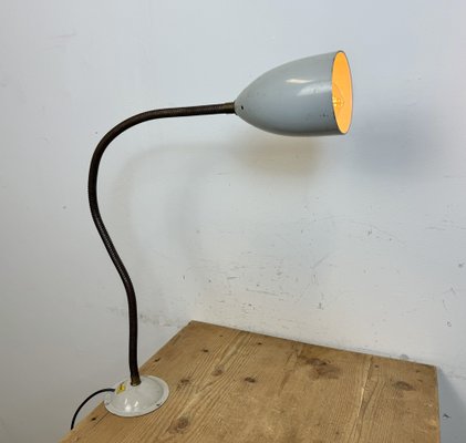 Grey Industrial Gooseneck Table Lamp from Philips, 1960s-CGF-1792233