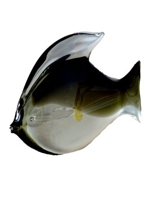 Grey Murano Fish-GT-1254109