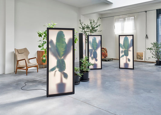 Growing Plants Lightbox With Photographic Collage by Rem Atelier