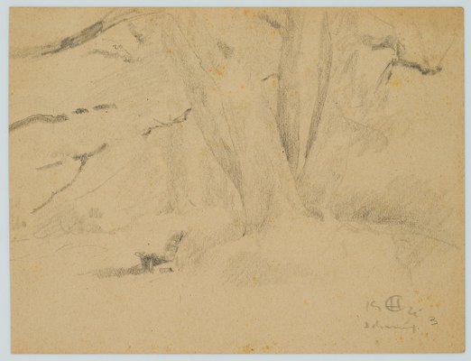 H. Christiansen, Bench Under Old Beech Tree, 1925, Pencil-OJR-1273381