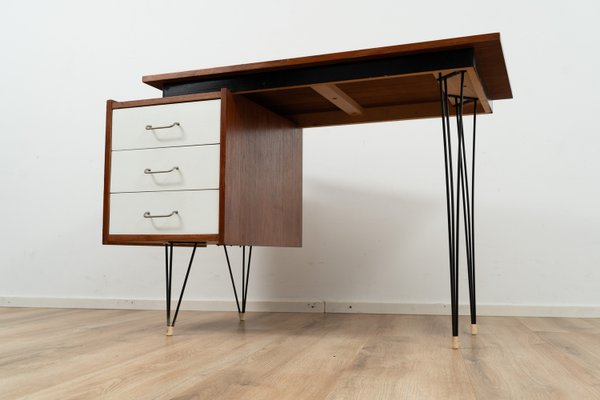 Hairpin Writing Desk by Cees Braakman for Pastoe, 1960s-GE-2021172