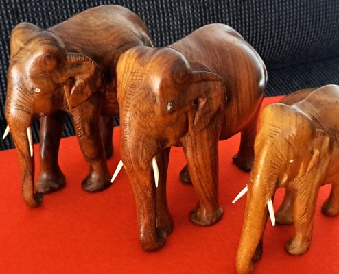 Hand-Carved Wooden Elephants, 1960s, Set of 3-ZYI-1739780