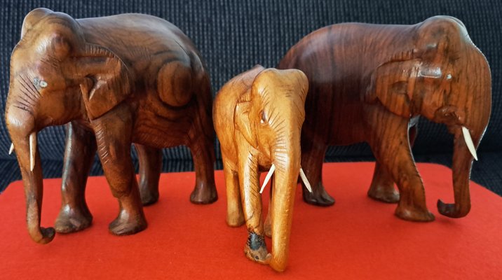 Hand-Carved Wooden Elephants, 1960s, Set of 3-ZYI-1739780