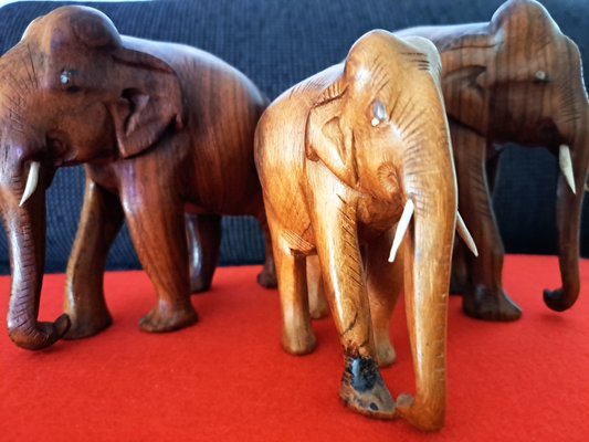 Hand-Carved Wooden Elephants, 1960s, Set of 3-ZYI-1739780