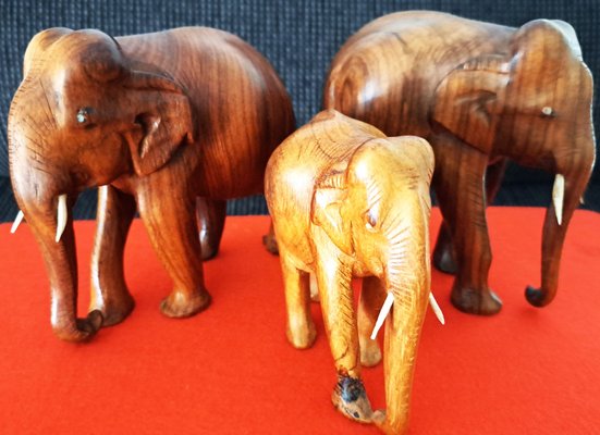 Hand-Carved Wooden Elephants, 1960s, Set of 3-ZYI-1739780