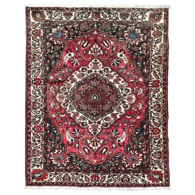 Hand Knotted Bakhtiar Rug-YMM-1061949