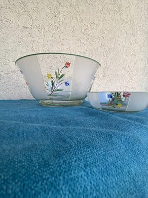 Hand-Painted Flower Patterned Glass Bowls, Hungary, 1950s, Set of 7-OXJ-1373117