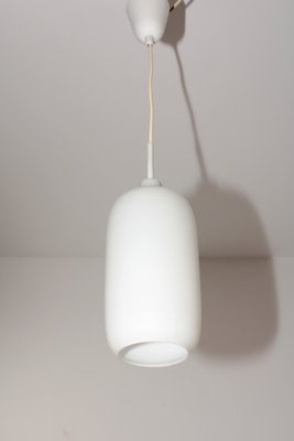 Hanging Light by J. T. Kalmar for Kalmar, 1950s-ZWH-1813721