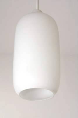 Hanging Light by J. T. Kalmar for Kalmar, 1950s-ZWH-1813721