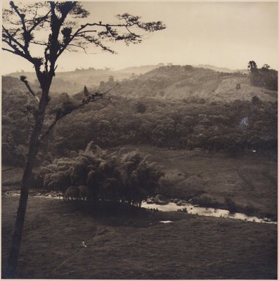 Hanna Seidel, Colombian Landscape with Forest, Black and White Photograph, 1960s-DYV-1446668