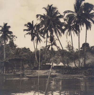 Hanna Seidel, Colombian Palm Trees, Black and White Photograph, 1960s-DYV-1446663