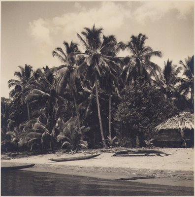 Hanna Seidel, Colombian Palm Trees on Beach, Black and White Photograph, 1960s-DYV-1446672