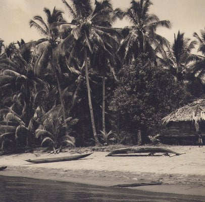 Hanna Seidel, Colombian Palm Trees on Beach, Black and White Photograph, 1960s-DYV-1446672