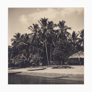 Hanna Seidel, Colombian Palm Trees on Beach, Black and White Photograph, 1960s-DYV-1446672