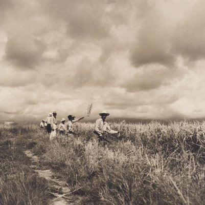 Hanna Seidel, Colombian Rice Harvest, Black and White Photograph, 1960s-DYV-1446660