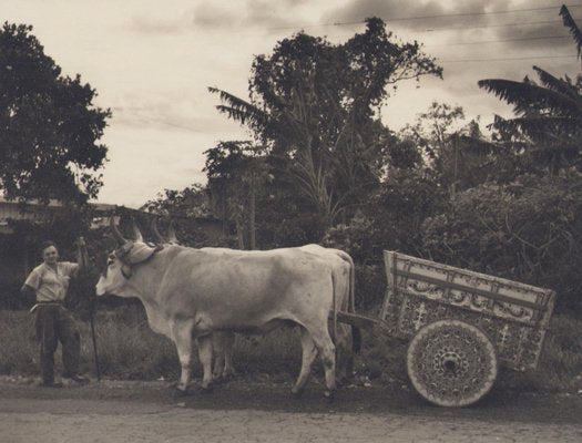 Hanna Seidel, Costa Rica, 1960s, Black & White Photography-DYV-1368624