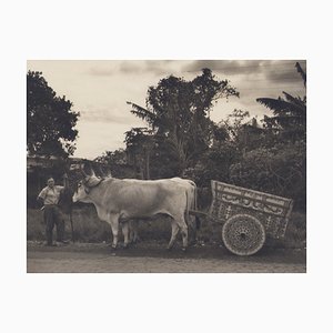 Hanna Seidel, Costa Rica, 1960s, Black & White Photography-DYV-1368624