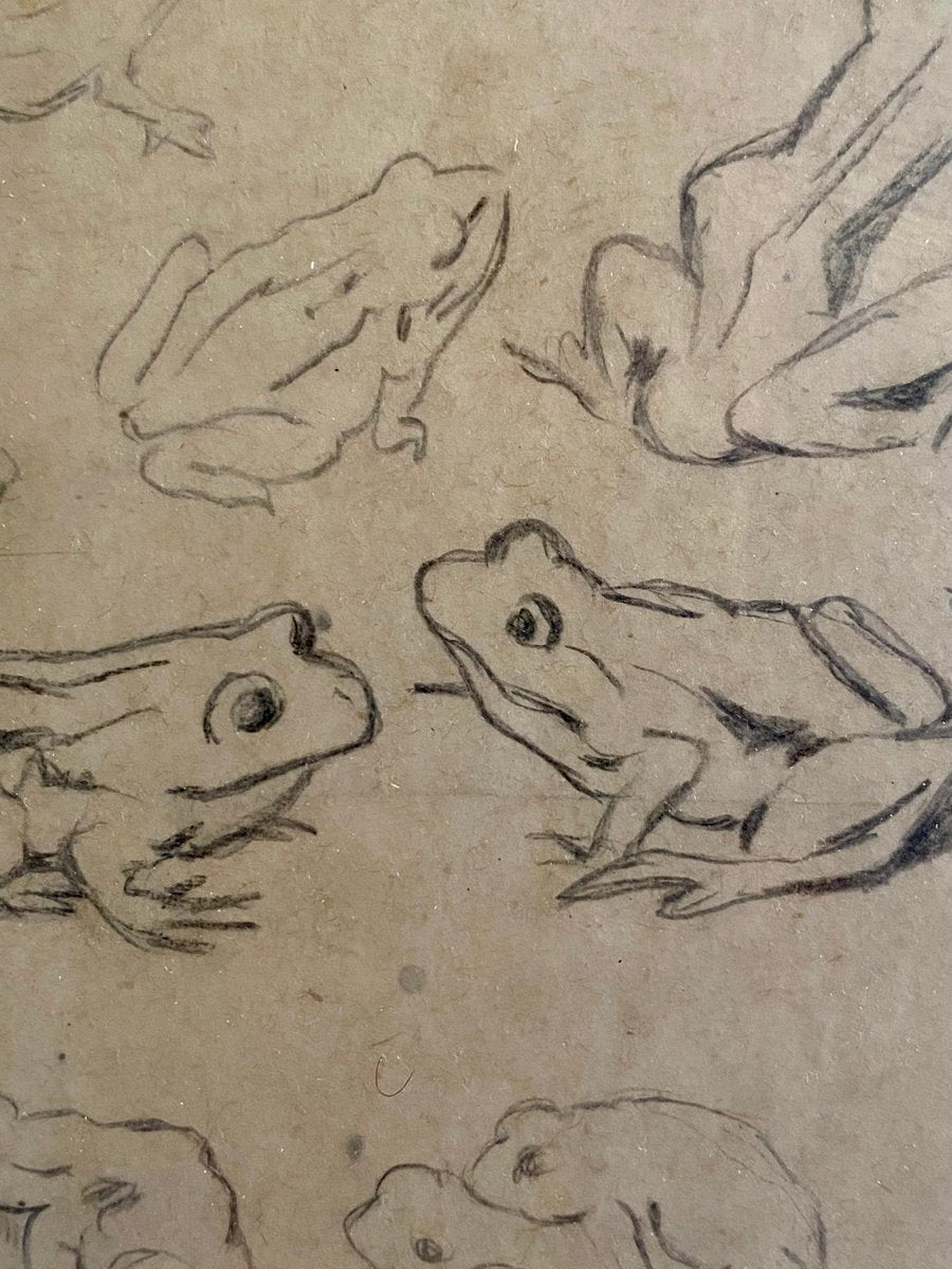 Hans Thoma, Study Frogs, 1890s, Pencil & Paper