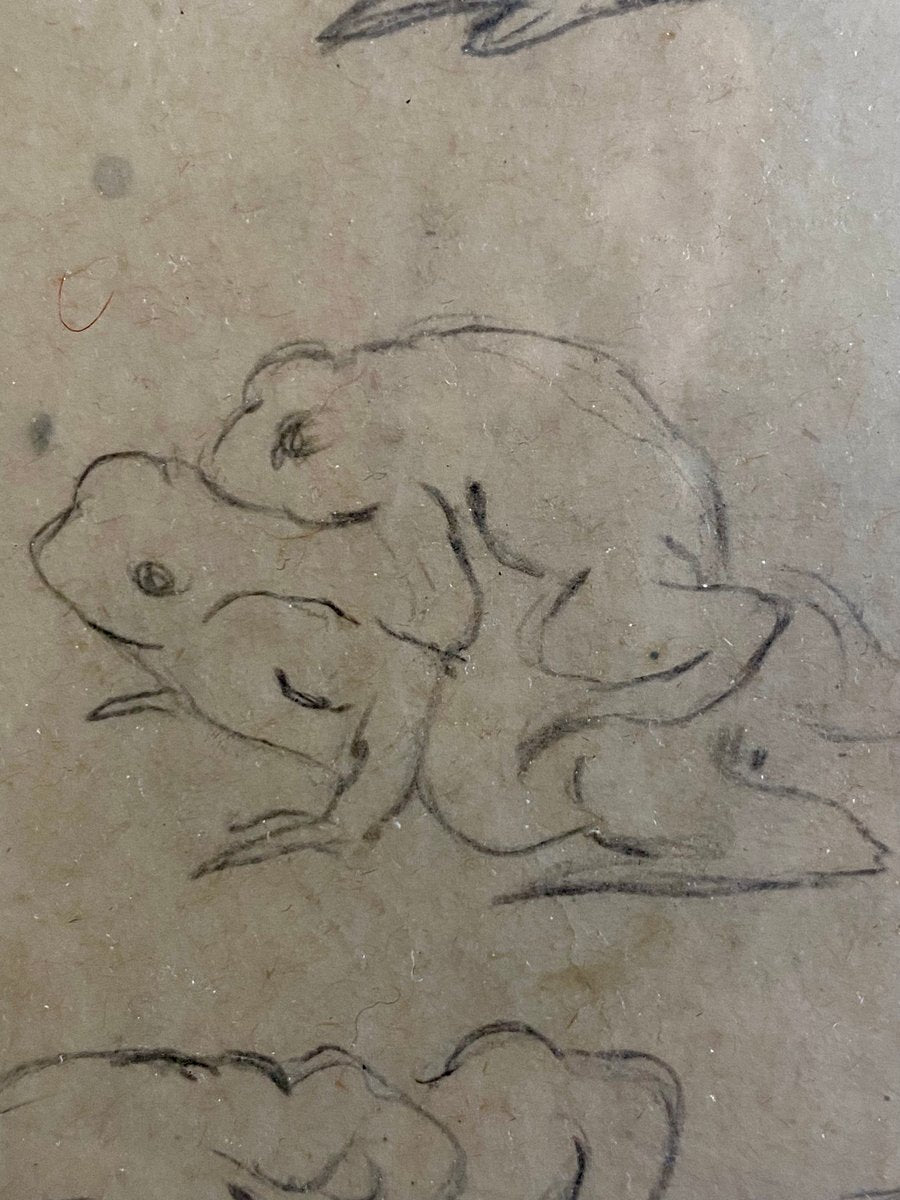 Hans Thoma, Study Frogs, 1890s, Pencil & Paper