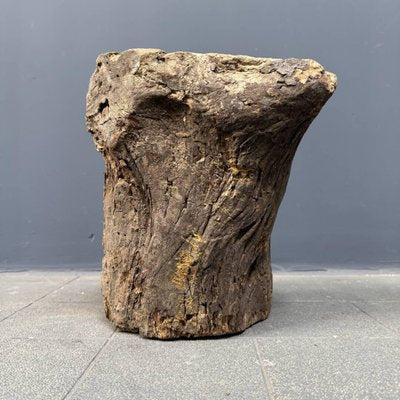 Head Carved from Wooden Trunk, 1950s-NPL-2022259