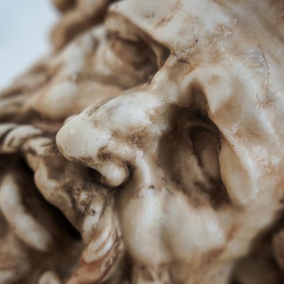 Head of Laocoön, 1960s, Carved Marble on Stone-YJL-1933883