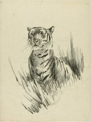 Head of Lion and Tiger - Original Pencil Drawing by Willy Lorenz - 1950s 1950s-ZCI-758780