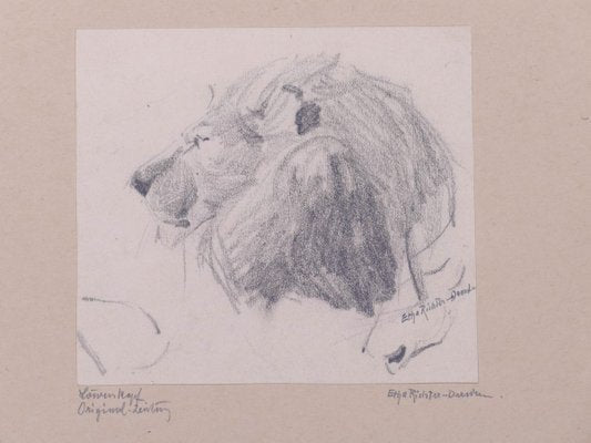 Head of Lion - Original Pencil Drawing by Etha Richter - 1930s 1930s-ZCI-761953