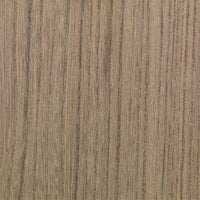 Swamp Elm
