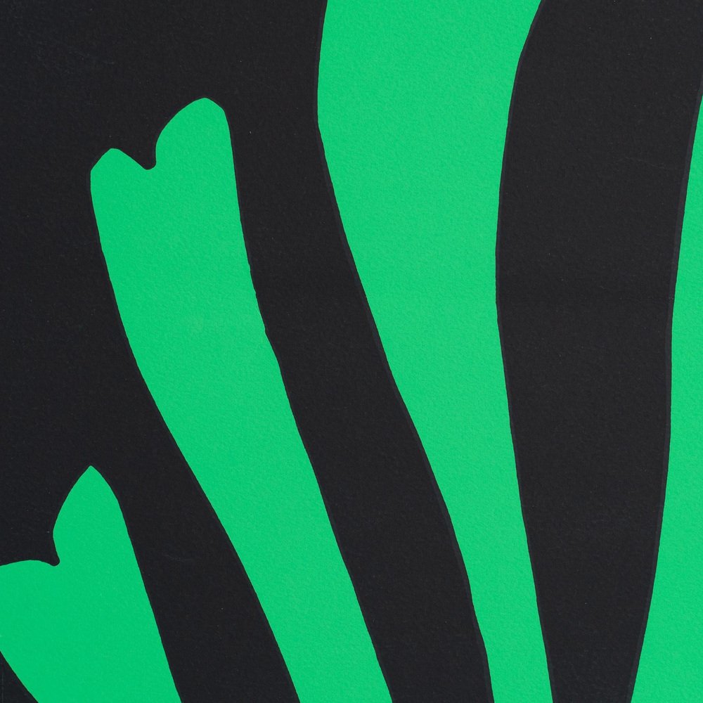 Henri Matisse, Fern Cut Out in Black and Green, Mid-20th Century, Lithograph