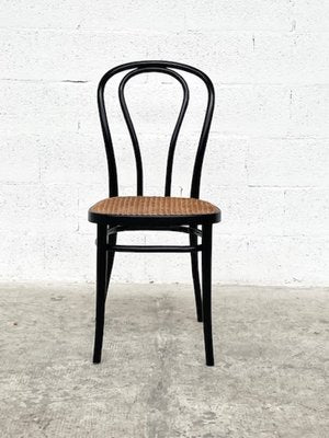 Herbatschek Series N°243711 Chair by Michael Thonet-RNN-1445223