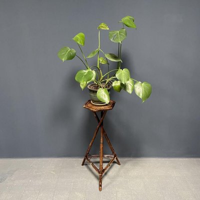 High Tripod Plant Table-NPL-913321