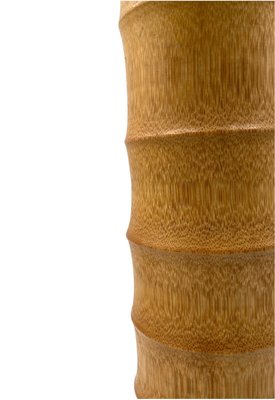 Hollywood Regency Bamboo Vase, 1970-TXN-2032429