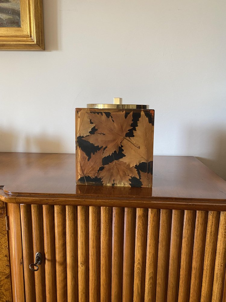 Hollywood Regency Brass and Leaves Resin Ice Bucket from Montagnani Firenze, Italy, 1970s