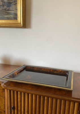 Hollywood Regency Brass and Tortoiseshell Acrylic Glass Tray, Italy, 1970s-TXN-2033815