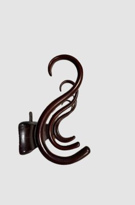 Hook Wall Hanger from Thonet, Austria, 1904-YBH-2027818