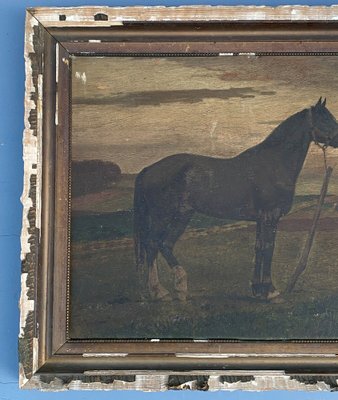 Horse, 19th Century, Oil on Panel, Framed-QKG-1394663