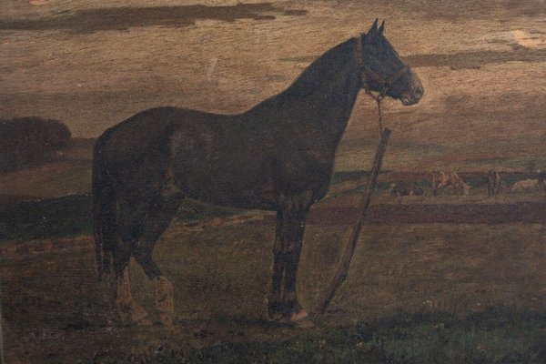 Horse, 19th Century, Oil on Panel, Framed-QKG-1793420