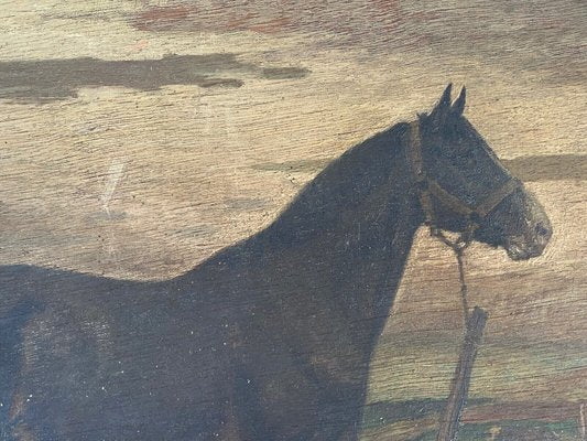 Horse, 19th Century, Oil on Panel, Framed-QKG-1394663