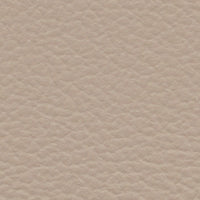 Hummingbird (FE4004)