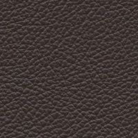 Humpback Whale (VP528)