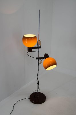 Hungarian Floor Lamp and Chandelier, 1960s, Set of 2-TZ-1262926