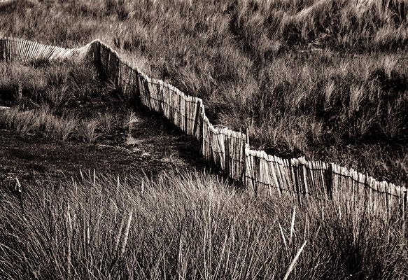 Ian Sanderson, Dune, 1997, Archival Pigment Print-OBQ-942987